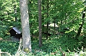 IMG_6466