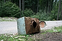 IMG_6499