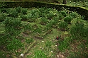 IMG_6514