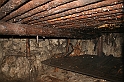 IMG_6534