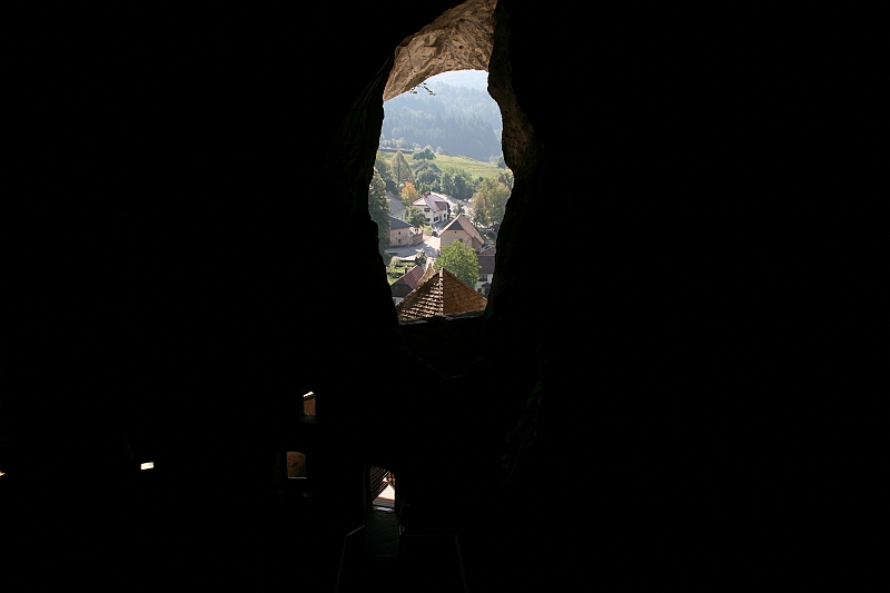IMG_6600