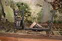 IMG_6576