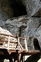 IMG_6582