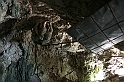 IMG_6595