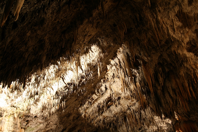 IMG_6759