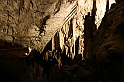 IMG_6721