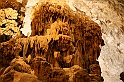 IMG_6889