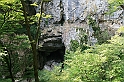 IMG_6955
