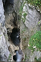 IMG_6975