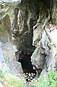 IMG_6982