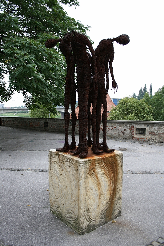 IMG_5893