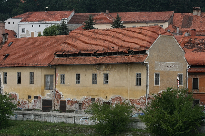 IMG_5921