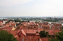 IMG_5944