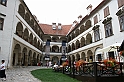IMG_5950