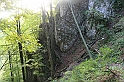 IMG_7051