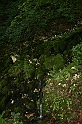 IMG_7095