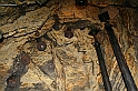 IMG_7139