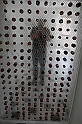 IMG_7203
