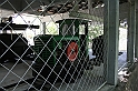 IMG_7231