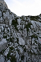 IMG_7343