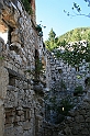 IMG_7375