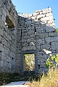 IMG_7383