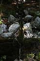 IMG_7399