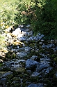 IMG_7409