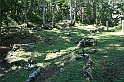 IMG_7443