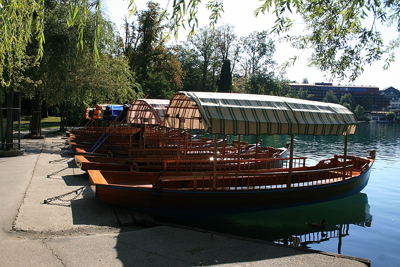 IMG_7493