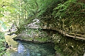 IMG_7522