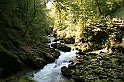 IMG_7523