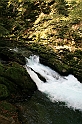 IMG_7524