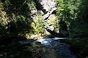 IMG_7526