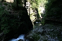 IMG_7531