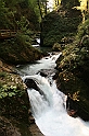IMG_7538