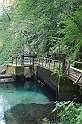 IMG_7547
