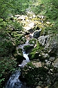 IMG_7575