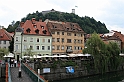 IMG_7745