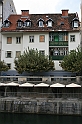 IMG_7751