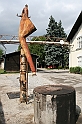 IMG_7711