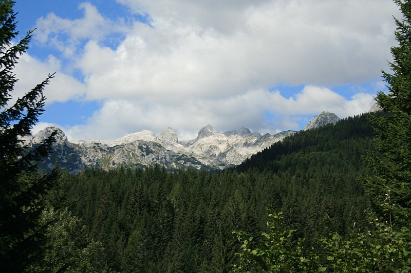 IMG_7888
