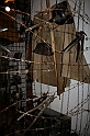 IMG_7855