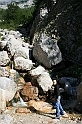IMG_6161