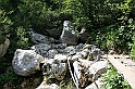 IMG_6177