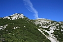 IMG_7893