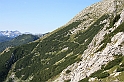 IMG_7896