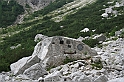 IMG_6193