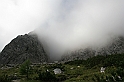 IMG_6206