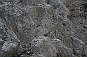 IMG_6227